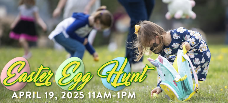 An Eggcellent Easter Egg Hunt